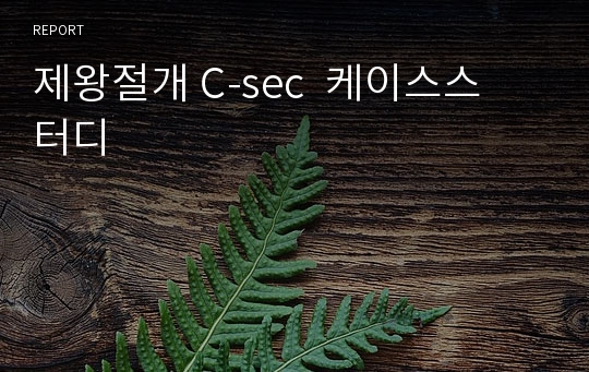 제왕절개 C-sec  케이스스터디