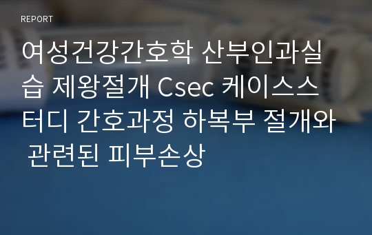 여성건강간호학 산부인과실습 제왕절개 Csec 케이스스터디 간호과정 하복부 절개와 관련된 피부손상