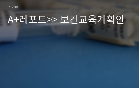 A+레포트&gt;&gt; 보건교육계획안