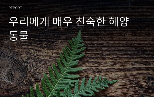 우리에게 매우 친숙한 해양 동물