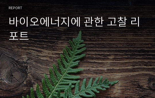 바이오에너지에 관한 고찰 리포트