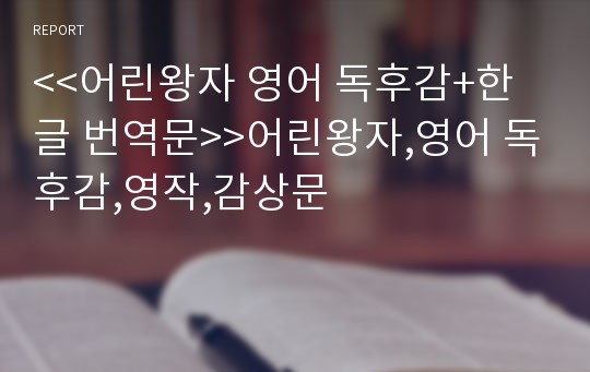 &lt;&lt;어린왕자 영어 독후감+한글 번역문&gt;&gt;어린왕자,영어 독후감,영작,감상문