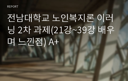 전남대학교 노인복지론 이러닝 2차 과제(21강~39강 배우며 느낀점) A+