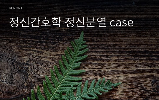 정신간호학 정신분열 case