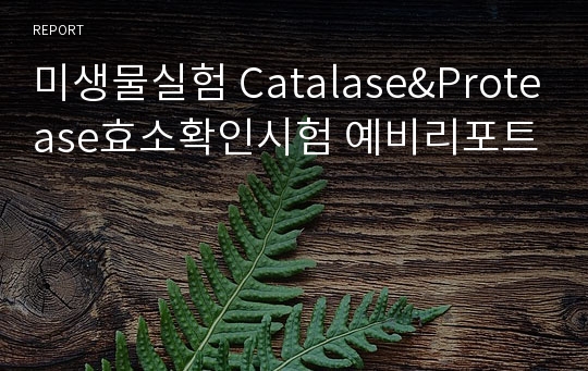 미생물실험 Catalase&amp;Protease효소확인시험 예비리포트