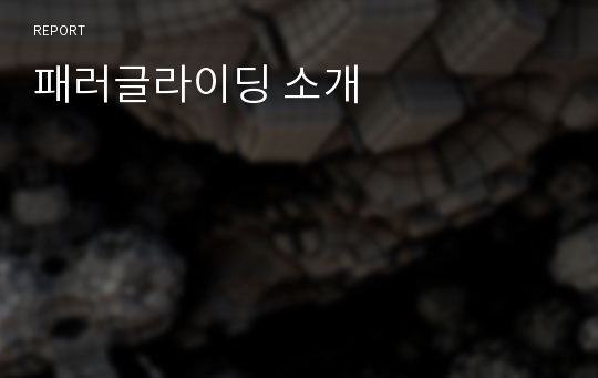 패러글라이딩 소개