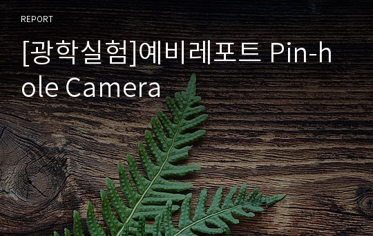 [광학실험]예비레포트 Pin-hole Camera