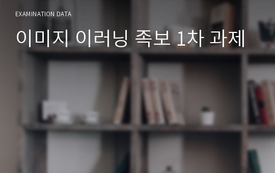 이미지 이러닝 족보 1차 과제