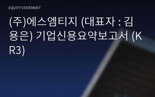 (주)에스엠티지 기업신용요약보고서 (KR3)