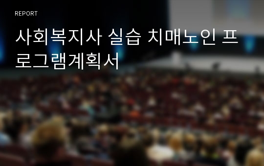 사회복지사 실습 치매노인 프로그램계획서