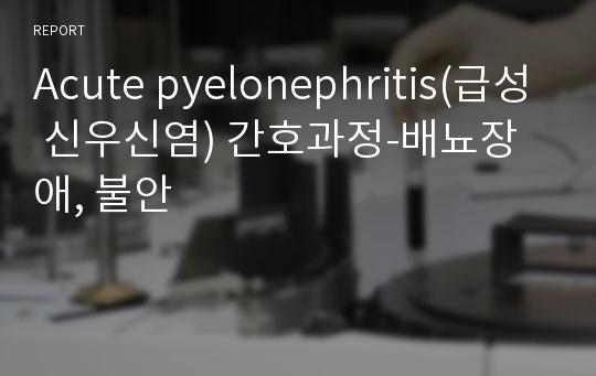 Acute pyelonephritis(급성 신우신염) 간호과정-배뇨장애, 불안