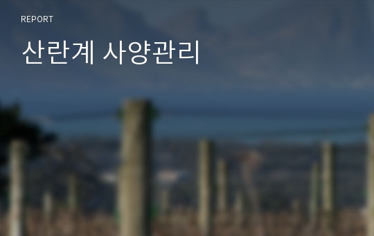 산란계 사양관리