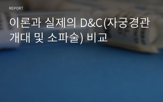 이론과 실제의 D&amp;C(자궁경관개대 및 소파술) 비교 실습 일지, Daily log