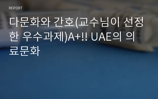 다문화와 간호(교수님이 선정한 우수과제)A+!! UAE의 의료문화