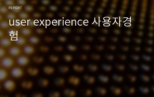 user experience 사용자경험