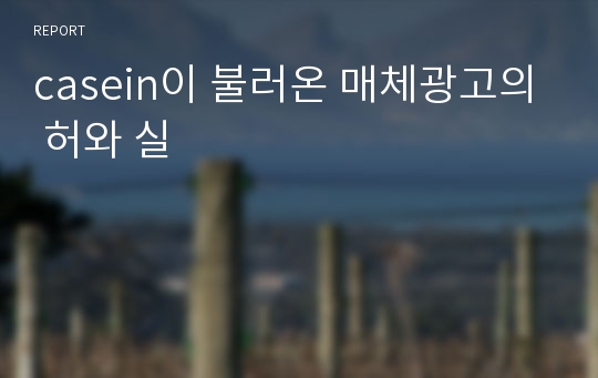 casein이 불러온 매체광고의 허와 실