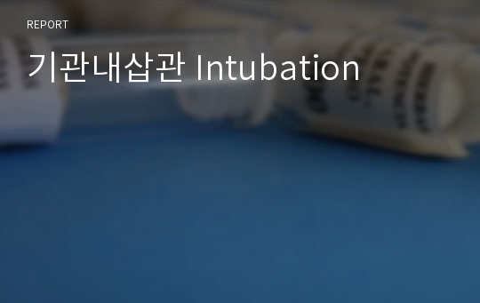 기관내삽관 Intubation