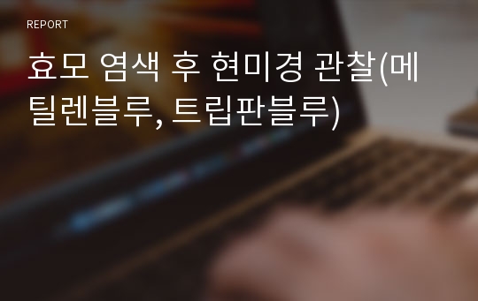 효모 염색 후 현미경 관찰(메틸렌블루, 트립판블루)