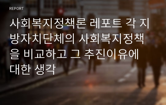 사회복지정책론 레포트 각 지방자치단체의 사회복지정책을 비교하고 그 추진이유에 대한 생각