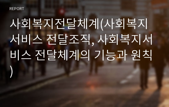 사회복지전달체계(사회복지서비스 전달조직, 사회복지서비스 전달체계의 기능과 원칙)