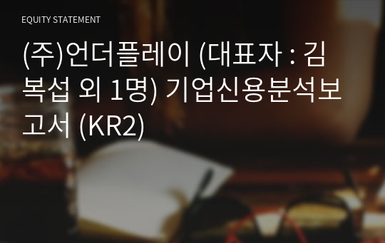 (주)언더플레이 기업신용분석보고서 (KR2)