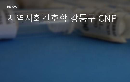 지역사회간호학 강동구 CNP