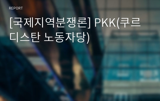 [국제지역분쟁론] PKK(쿠르디스탄 노동자당)