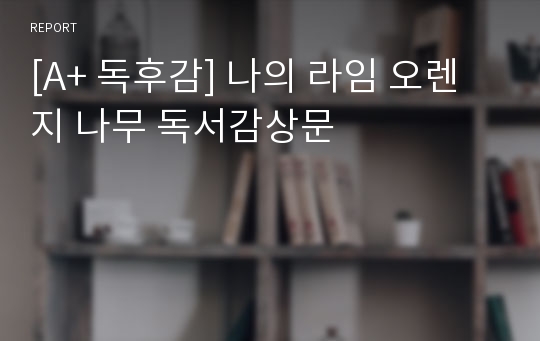 [A+ 독후감] 나의 라임 오렌지 나무 독서감상문