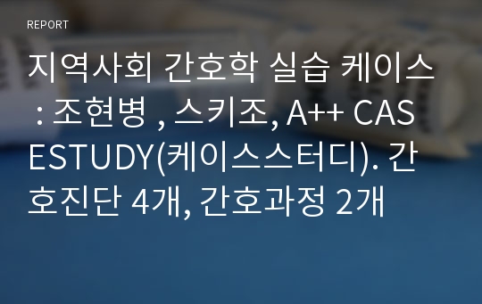 지역사회 간호학 실습 케이스 : 조현병 , 스키조, A++ CASESTUDY(케이스스터디). 간호진단 4개, 간호과정 2개