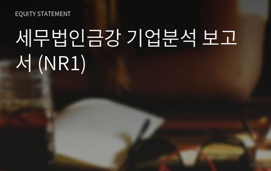 세무법인금강 기업분석 보고서 (NR1)