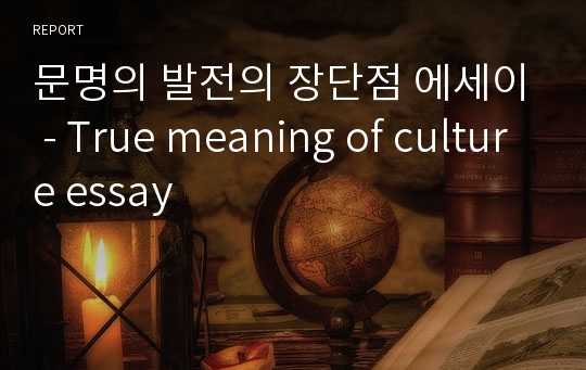 문명의 발전의 장단점 에세이 - True meaning of culture essay