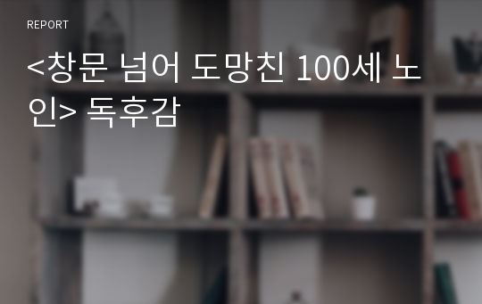 &lt;창문 넘어 도망친 100세 노인&gt; 독후감