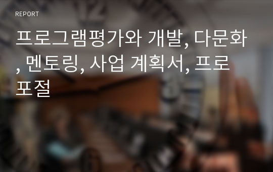 프로그램평가와 개발, 다문화, 멘토링, 사업 계획서, 프로포절