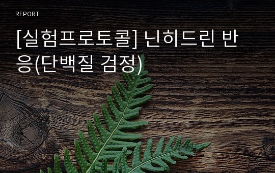 [실험프로토콜] 닌히드린 반응(단백질 검정)