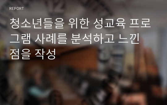 청소년들을 위한 성교육 프로그램 사례를 분석하고 느낀 점을 작성