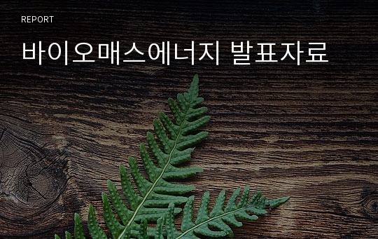 바이오매스에너지 발표자료