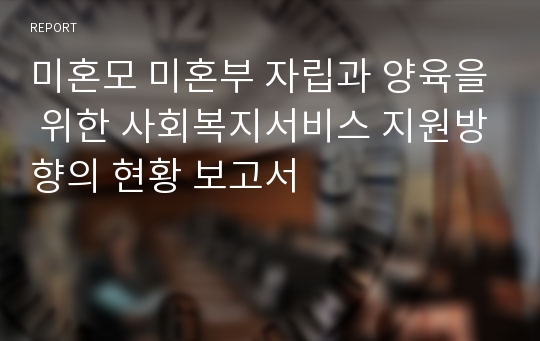 미혼모 미혼부 자립과 양육을 위한 사회복지서비스 지원방향의 현황 보고서