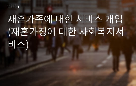 재혼가족에 대한 서비스 개입(재혼가정에 대한 사회복지서비스)