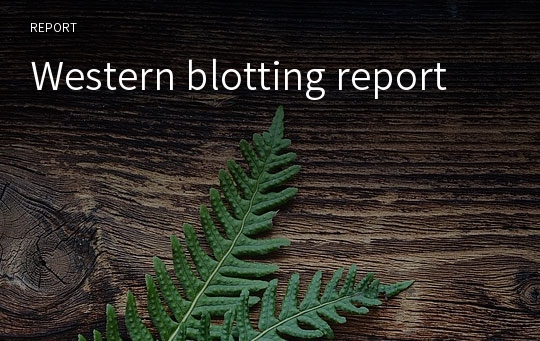 Western blotting report