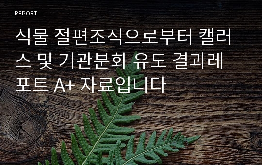 식물 절편조직으로부터 캘러스 및 기관분화 유도 결과레포트 A+ 자료입니다