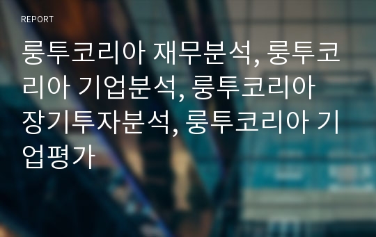 룽투코리아 재무분석, 룽투코리아 기업분석, 룽투코리아 장기투자분석, 룽투코리아 기업평가