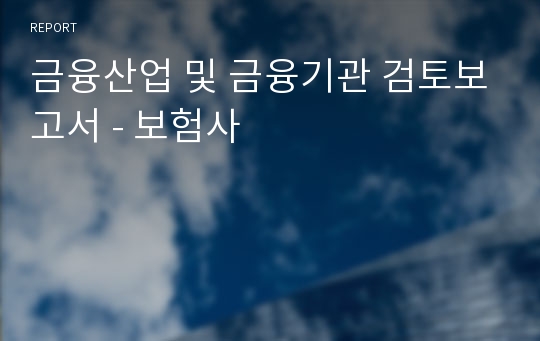 금융산업 및 금융기관 검토보고서 - 보험사