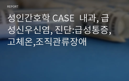 성인간호학 CASE  내과, 급성신우신염, 진단:급성통증,고체온,조직관류장애