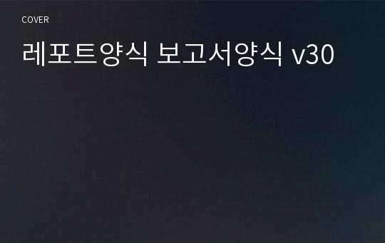 레포트양식 보고서양식 v30