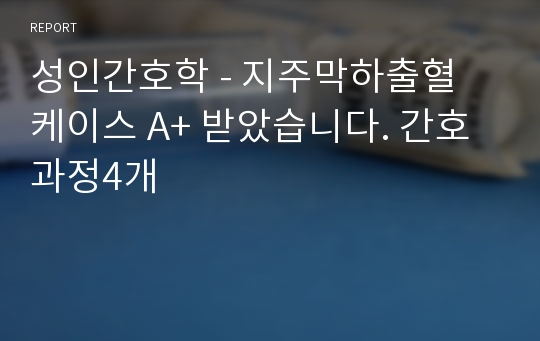 성인간호학 - 지주막하출혈 케이스 A+ 받았습니다. 간호과정4개