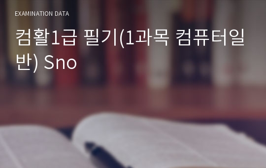 컴활1급 필기(1과목 컴퓨터일반) Sno