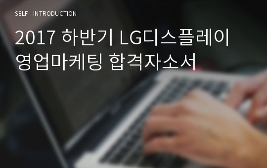 2017 하반기 LG디스플레이 영업마케팅 합격자소서