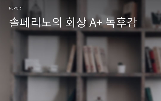 솔페리노의 회상 A+ 독후감