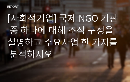 [사회적기업] 국제 NGO 기관 중 하나에 대해 조직 구성을 설명하고 주요사업 한 가지를 분석하시오