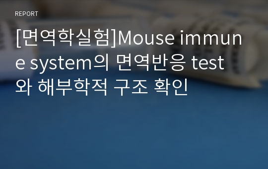 [면역학실험]Mouse immune system의 면역반응 test와 해부학적 구조 확인